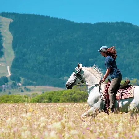 Tiny Glamp House - Danguba By Iglena Kamp alanı *