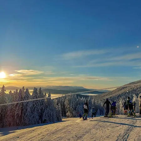 Tiny Glamp House - Danguba By Iglena キャンプ場 *