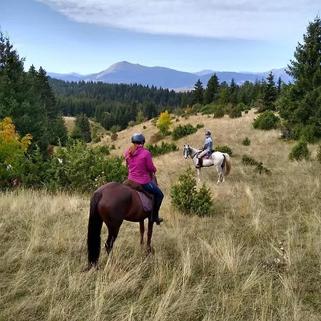 Tiny Glamp House - Danguba By Iglena *