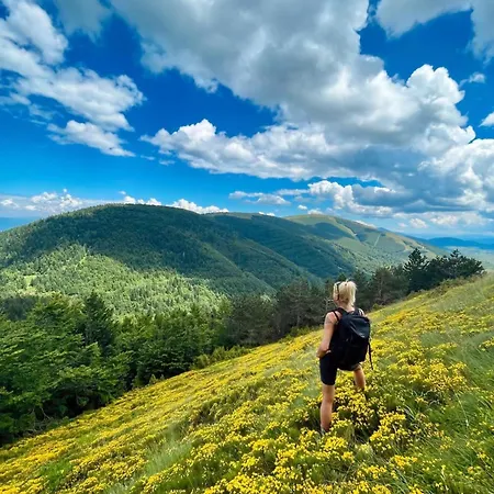 Tiny Glamp House - Danguba By Iglena Kupres (Canton 10)