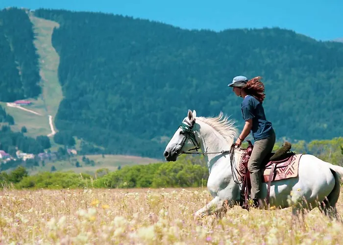 Danguba - Tiny Glamp House With Hot Tub By Iglena Kemp *