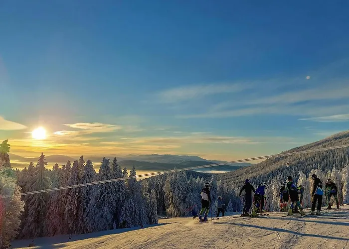 Danguba - Tiny Glamp House With Hot Tub By Iglena Kemp *