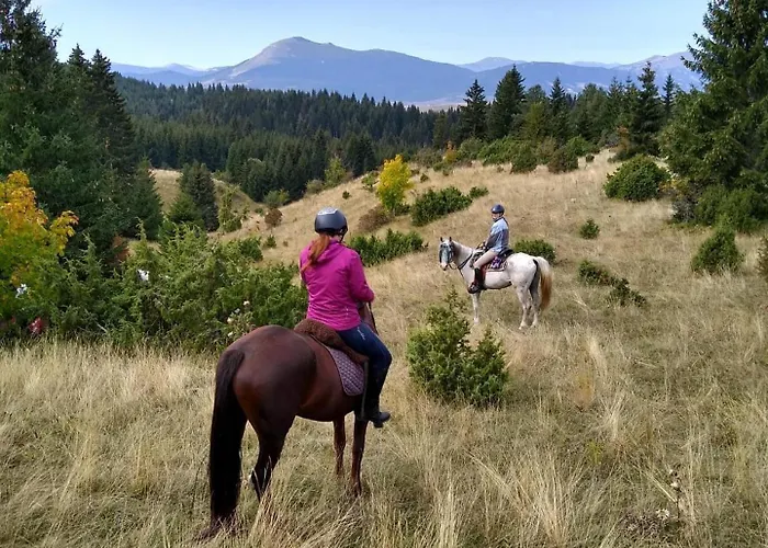 Danguba - Tiny Glamp House With Hot Tub By Iglena *