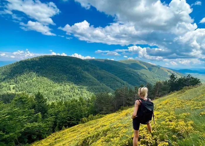 Danguba - Tiny Glamp House With Hot Tub By Iglena Kupres (Canton 10)